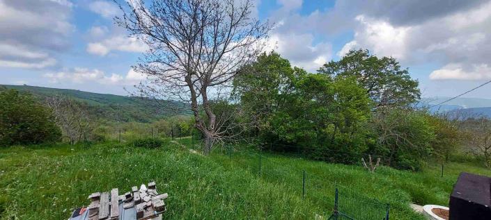 Image No.43-5 Bed Country Property for sale