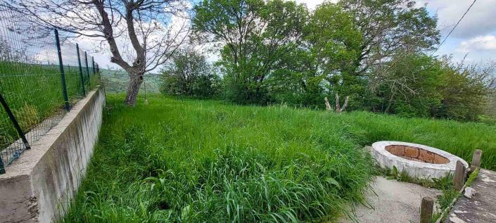 Image No.44-5 Bed Country Property for sale