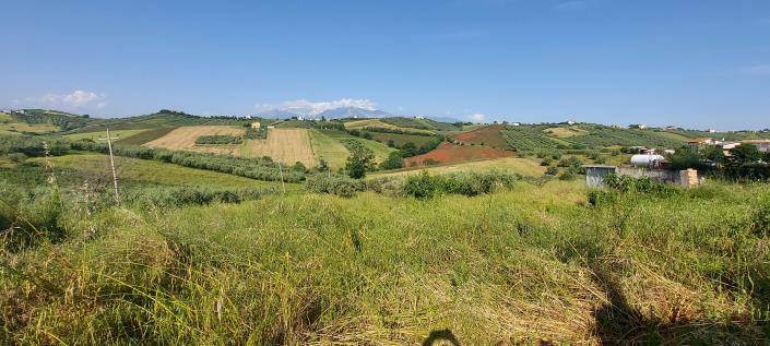 Image No.7-4 Bed Country House for sale