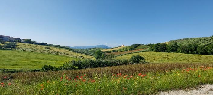 Image No.40-4 Bed Country House for sale