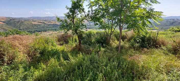 Image No.24-2 Bed Townhouse for sale