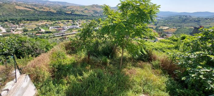 Image No.31-2 Bed Townhouse for sale