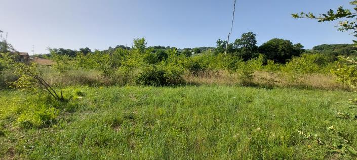 Image No.2-Land for sale