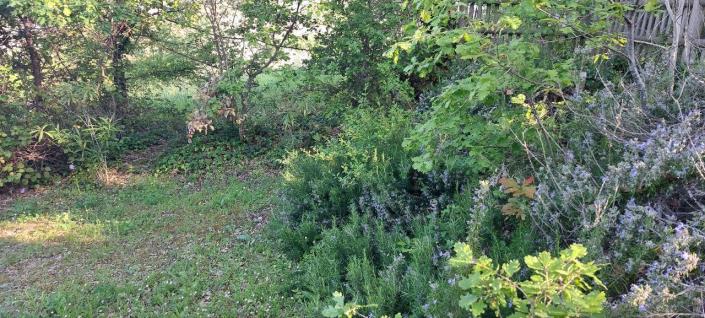 Image No.49-4 Bed Villa for sale