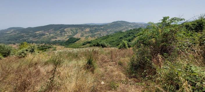 Image No.7-2 Bed Country Property for sale