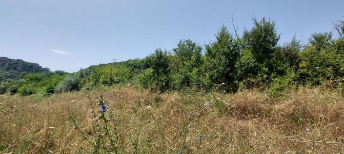 Image No.20-2 Bed Country Property for sale