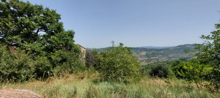 Image No.1-2 Bed Country Property for sale