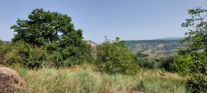 Image No.22-2 Bed Country Property for sale