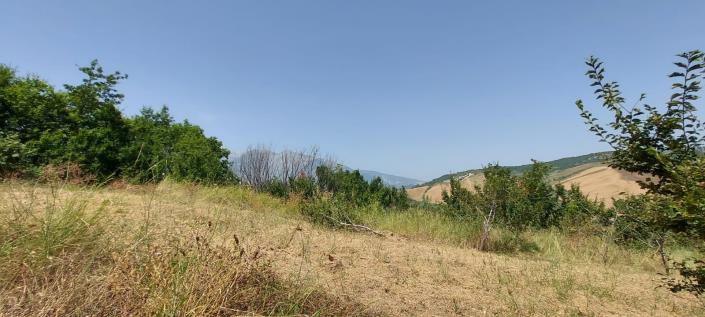 Image No.24-2 Bed Country Property for sale