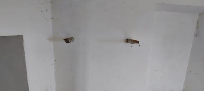 Image No.18-2 Bed Country Property for sale