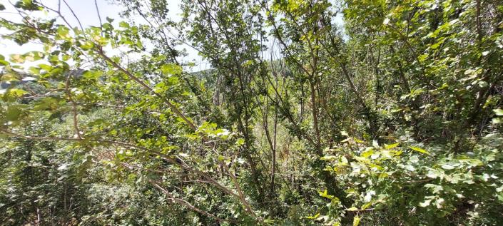 Image No.29-2 Bed Country Property for sale