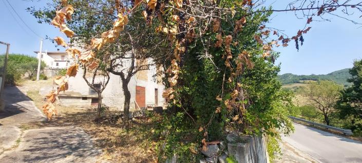 Image No.35-3 Bed Country Property for sale