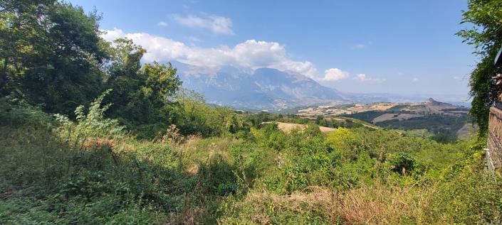 Image No.45-3 Bed Apartment for sale