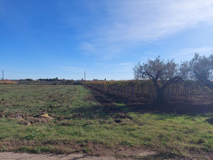 Image No.18-Plot for sale