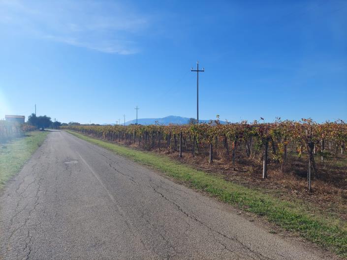 Image No.4-Plot for sale