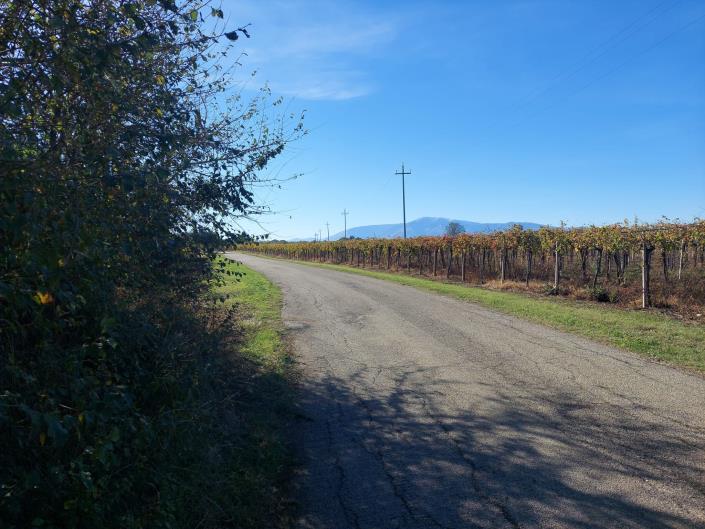 Image No.10-Plot for sale