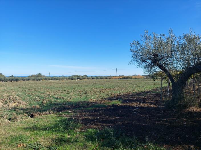 Image No.15-Plot for sale