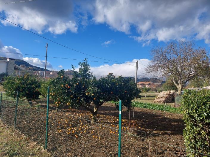 Image No.2-Land for sale