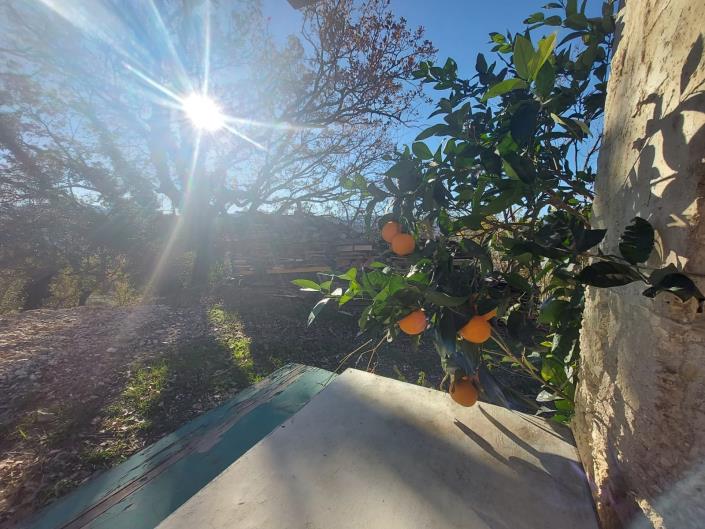 Image No.22-Country House for sale