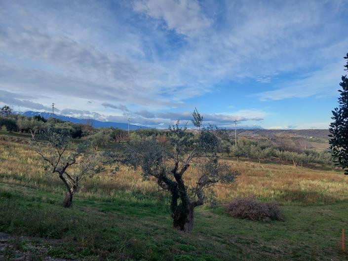 Image No.13-4 Bed Country House for sale