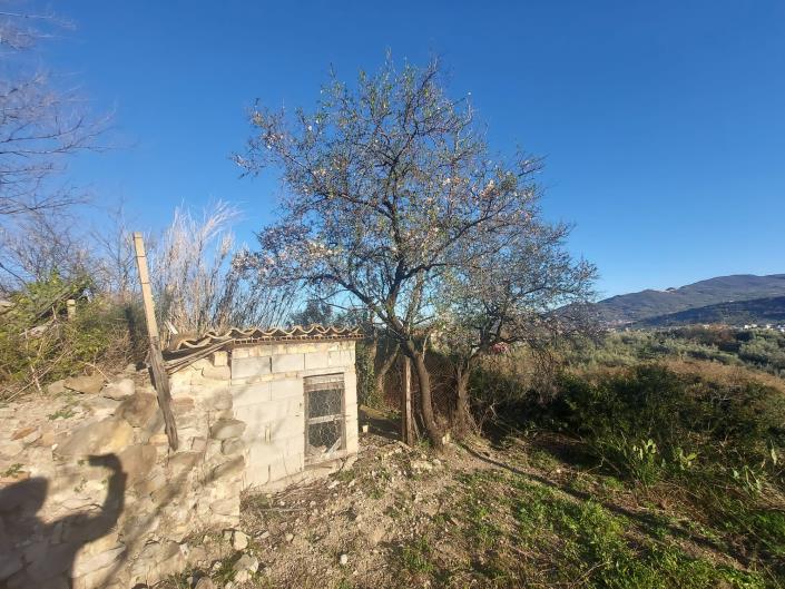 Image No.4-1 Bed Country House for sale