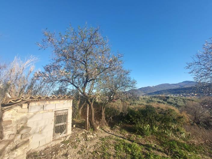 Image No.32-1 Bed Country House for sale