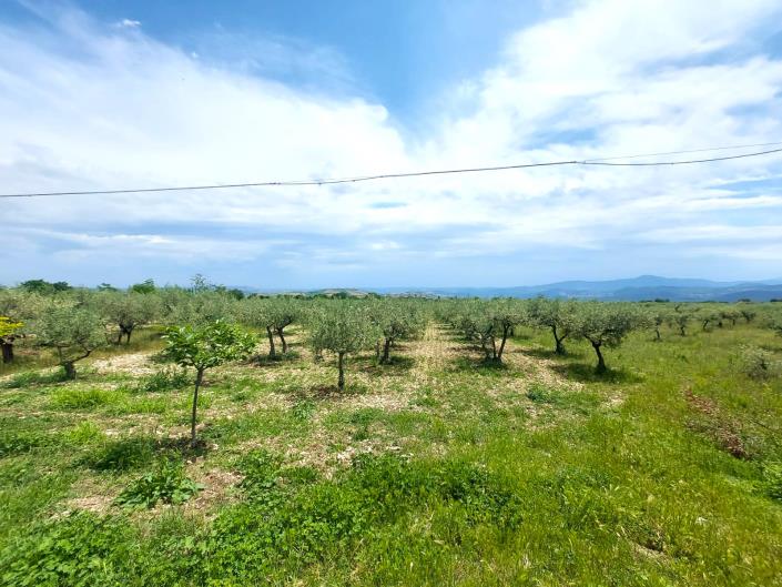 Image No.59-2 Bed Villa / Detached for sale