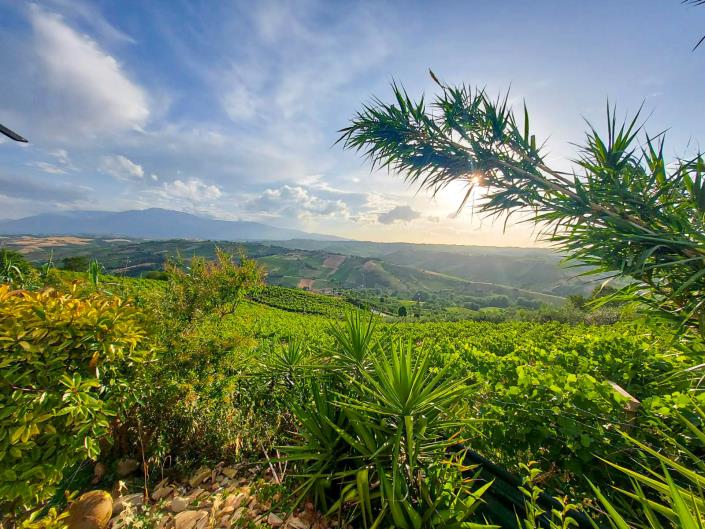 Image No.44-3 Bed House/Villa for sale