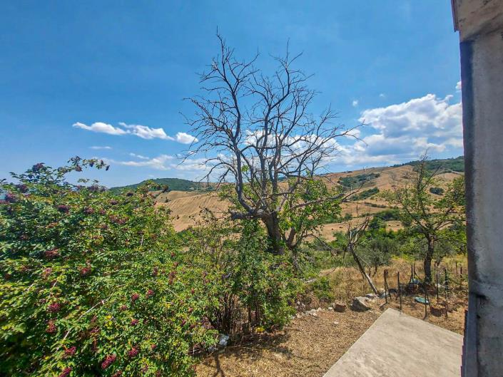 Image No.38-3 Bed House for sale