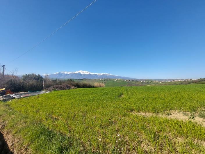 Image No.1-Land for sale