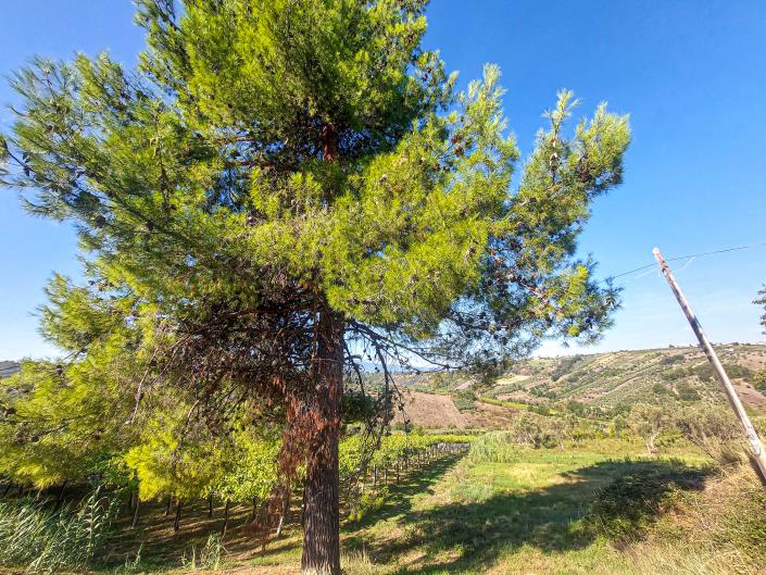 Image No.8-Property for sale