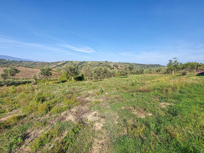 Image No.16-Property for sale