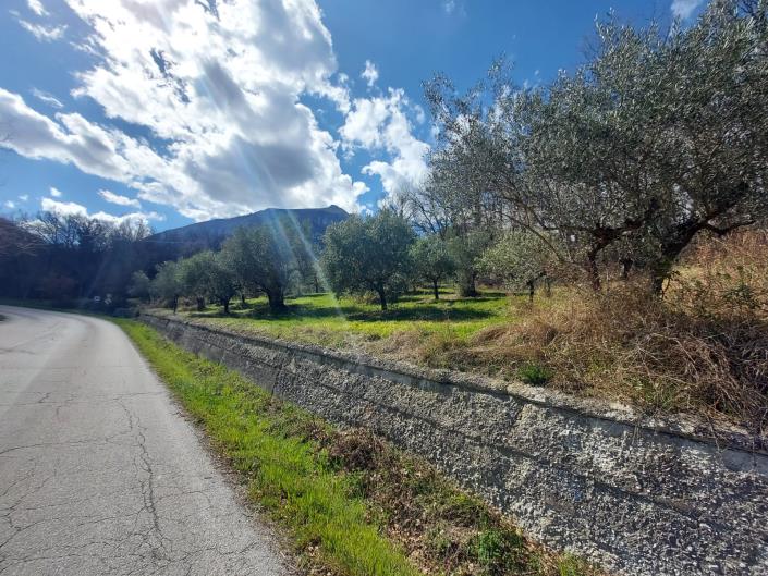 Image No.2-Property for sale