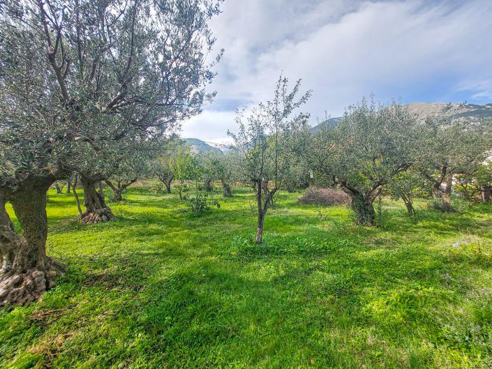 Image No.52-3 Bed Country Property for sale