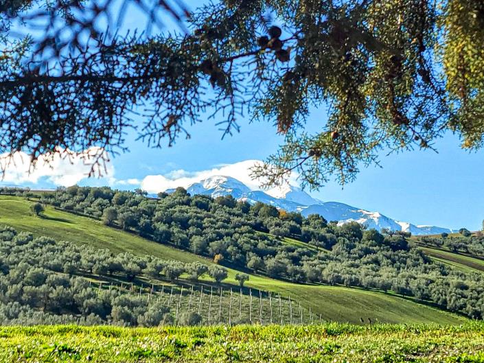 Image No.2-2 Bed Country Property for sale