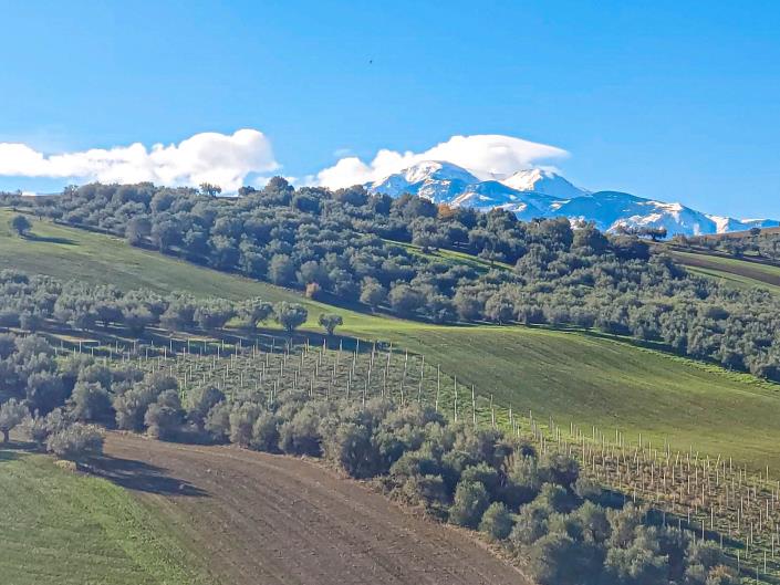 Image No.46-2 Bed Country Property for sale