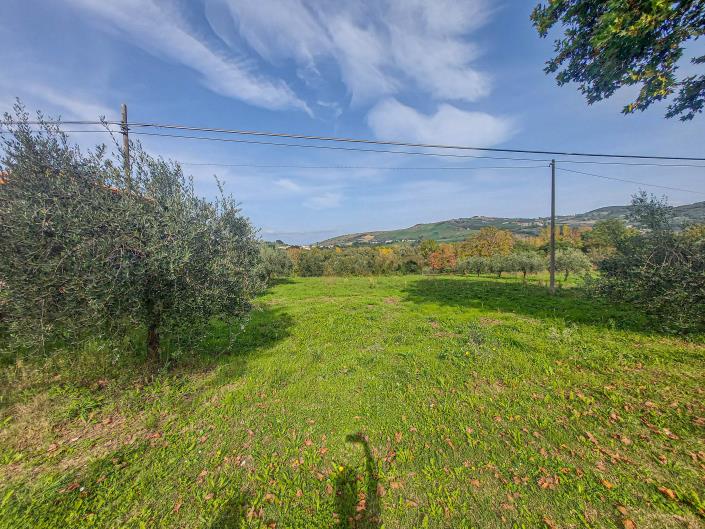 Image No.2-Land for sale