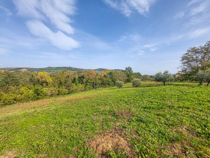 Image No.7-Land for sale