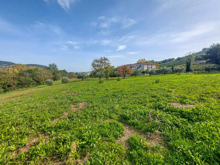 Image No.10-Land for sale