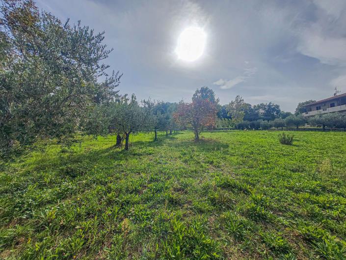 Image No.11-Land for sale