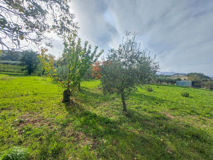 Image No.14-Land for sale