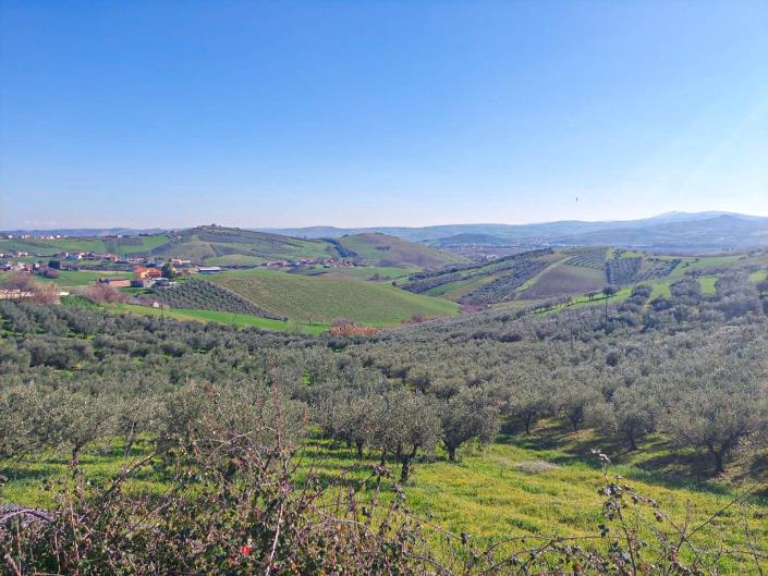 Image No.3-Land for sale