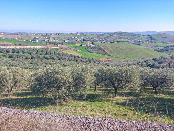 Image No.6-Land for sale