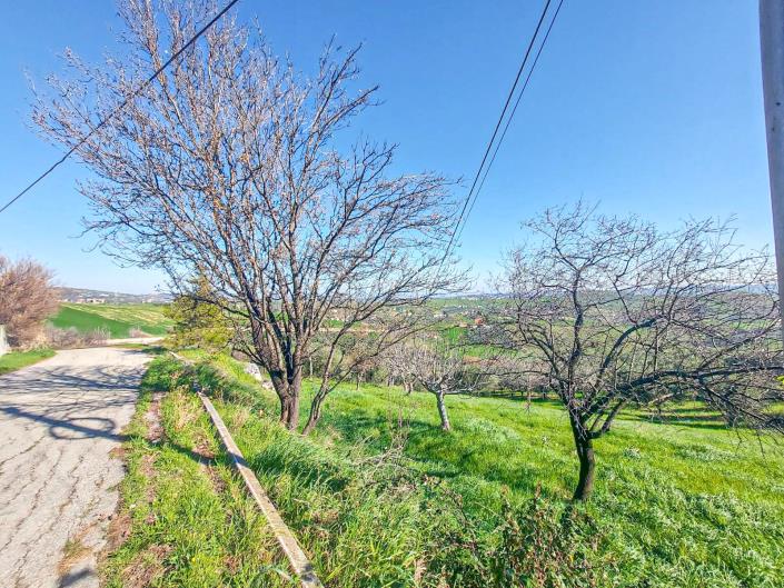 Image No.7-Land for sale