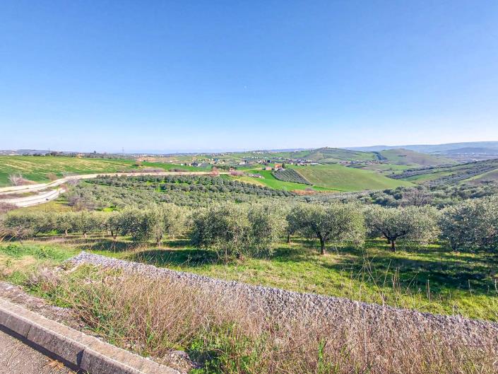 Image No.8-Land for sale