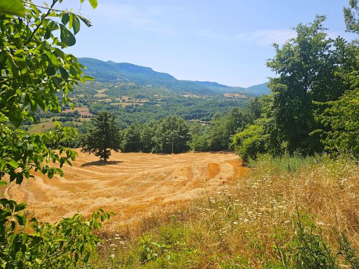 Image No.3-2 Bed Semi-Detached for sale