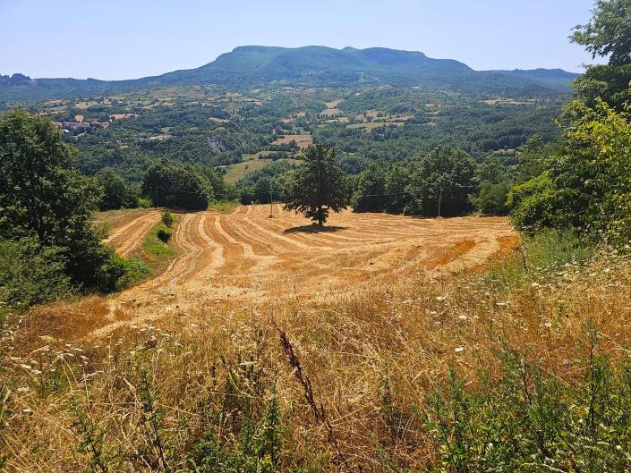 Image No.4-2 Bed Semi-Detached for sale