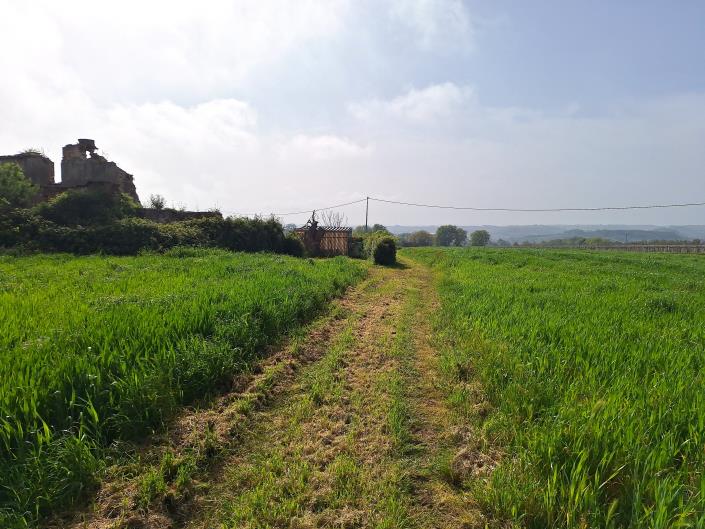 Image No.4-Plot for sale