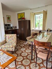 WhatsApp-Image-2025-10-14-at-17-26-48--1-