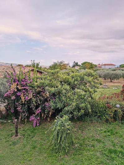 Image No.21-3 Bed House/Villa for sale